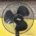 Cool Works Black 16" Oscillating Variable Speed Stand Fan